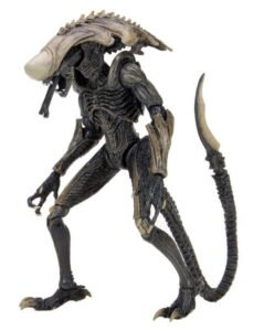 Xenomorph, Chrysalis