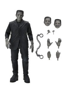 Frankenstein’s Monster