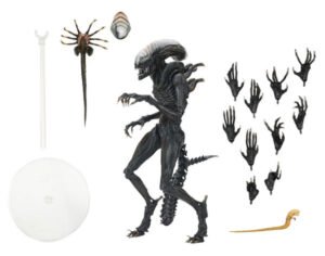 Scorched Xenomorph