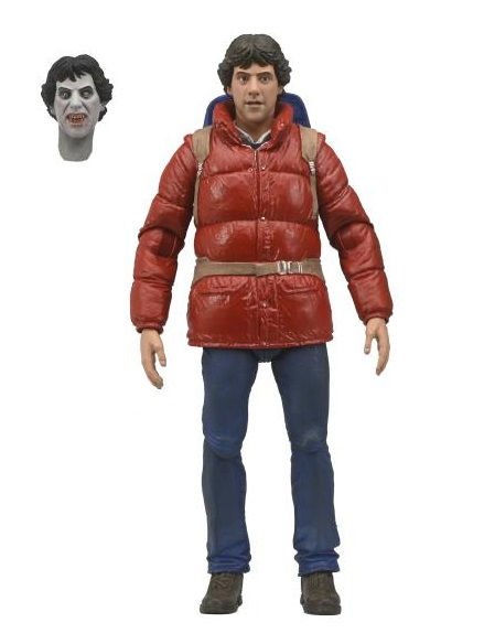 David Kessler, Backpacking