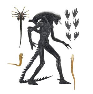 Xenomorph XX121