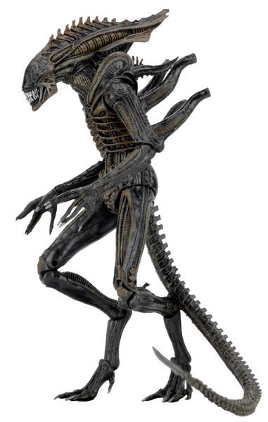 Xenomorph, Defiance