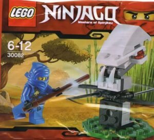 Ninja Training