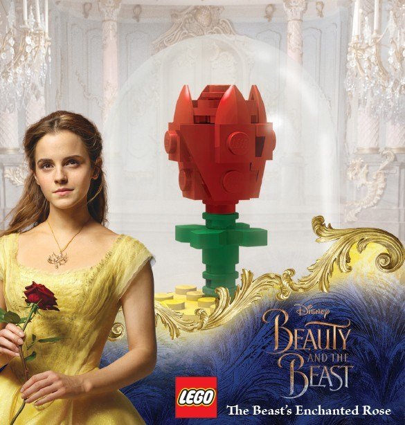 The Beast’s Enchanted Rose